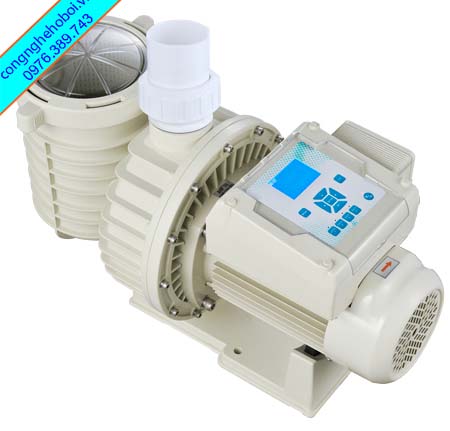 Máy Bơm Nước Bể Bơi Gia Đình