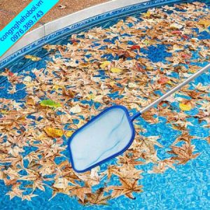 vợt lá cây hồ bơi