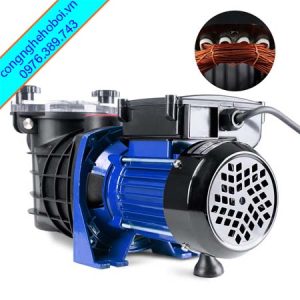 Máy bơm hồ bơi