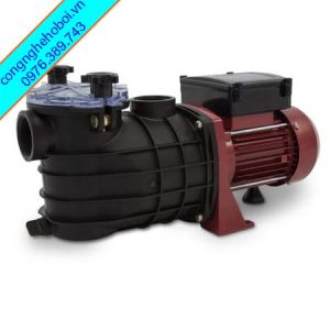 Máy bơm nước bể bơi giá rẻ