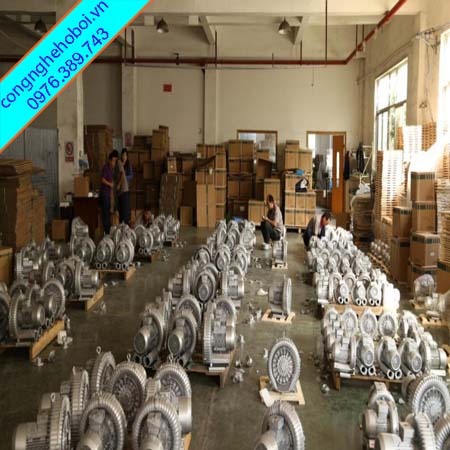 Máy sục khí con sò Rexchip