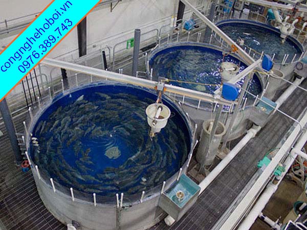 Hệ Thống Sục Khí Trong Nuôi Tôm