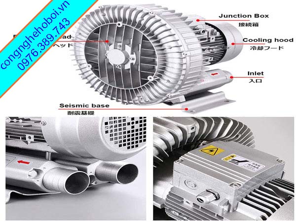 Máy Thổi Khí Cho Bể Bơi