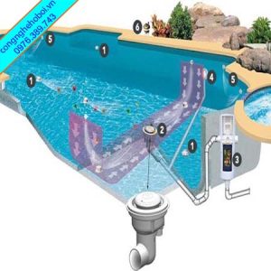 Thiết kế bể bơi