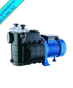 Máy bơm bể bơi giá rẻ