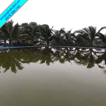 Lọc nước bể bơi bị đen