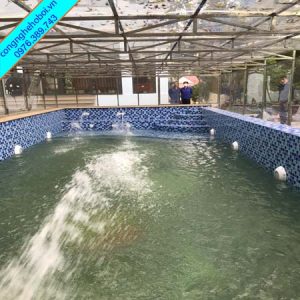 Máy lọc bể bơi gia đình