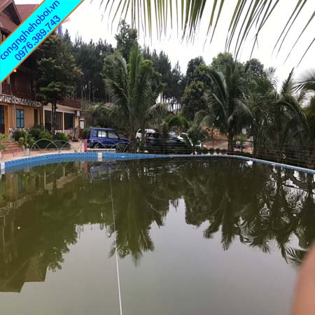 Xử Lý Nươc Bể Bơi Bị Đen