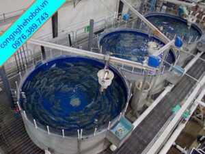 Hệ Thống Sục Khí Trong Nuôi Tôm