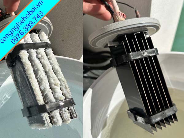 Bảo Dưỡng Điện Cực