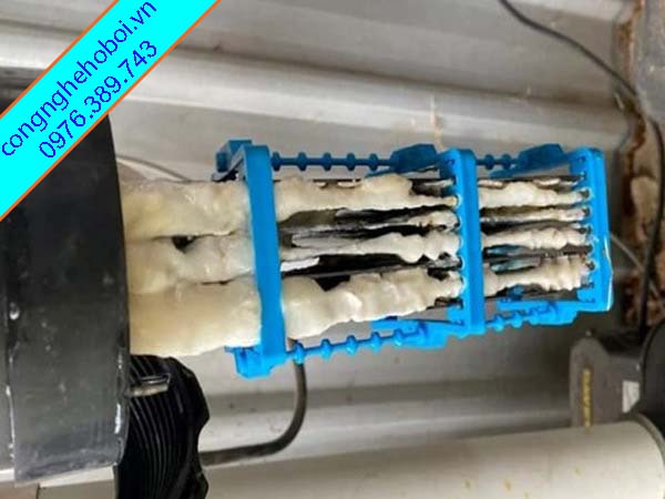 Lỗi Máy Điện Phân Muối