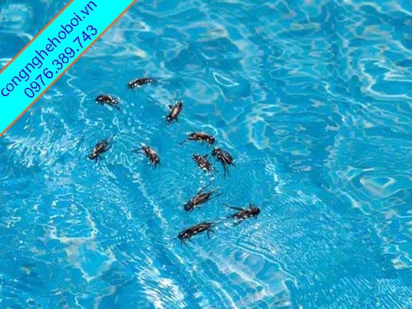 Chi Phí Ẩn Hệ Lọc Kém